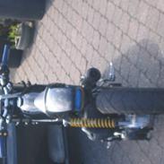 Suzuki Street magic - SOLGT