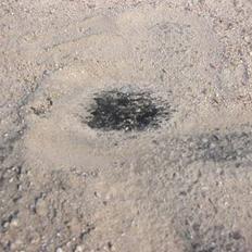 MiniBike Pocketbike SOLGT!