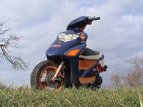 Honda SFX Repsol billede 4