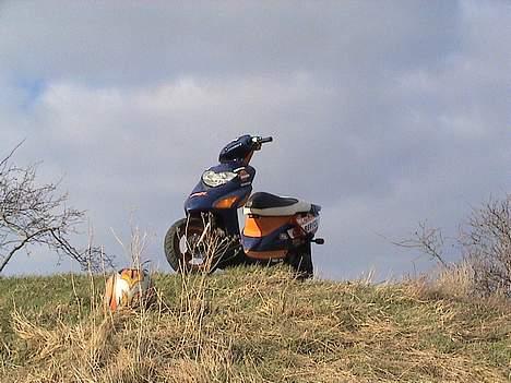 Honda SFX Repsol billede 6