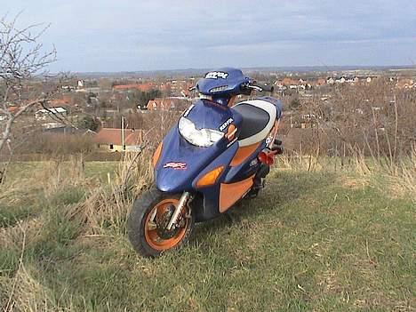 Honda SFX Repsol billede 7
