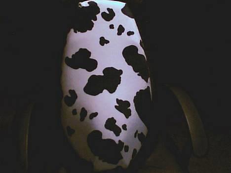 Yamaha Spy || Solgt  - Mit koskind... det er taget med mit webcam ;) billede 7