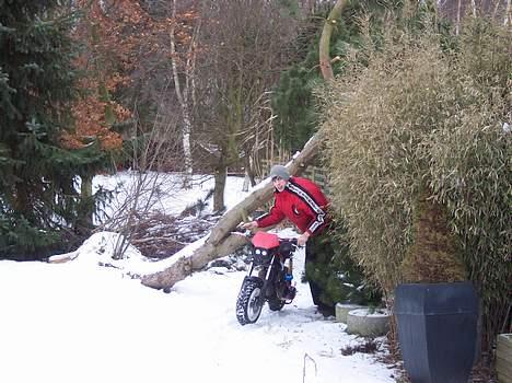 Suzuki street magic SOLGT billede 3