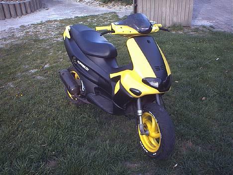 Gilera Runner AC (solgt) - NYT billede 3