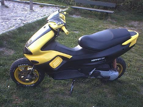Gilera Runner AC (solgt) - NYT billede 5
