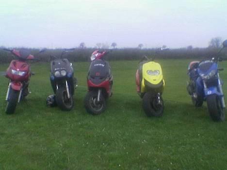 Gilera DNA - Tjaa.. ude at rive Græs med et par venner... billede 13