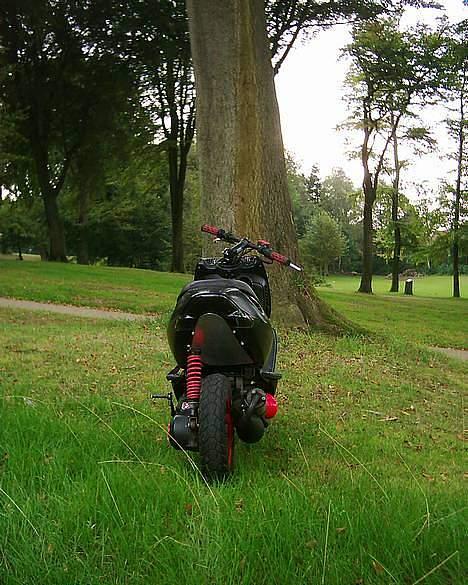 Aprilia Sonic billede 4