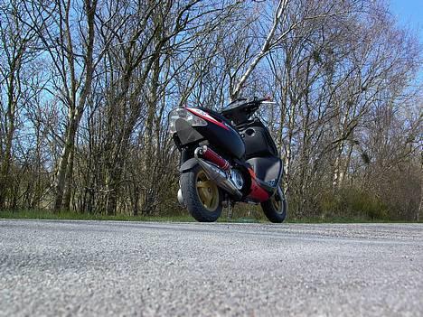 Aprilia                    SoniC billede 11