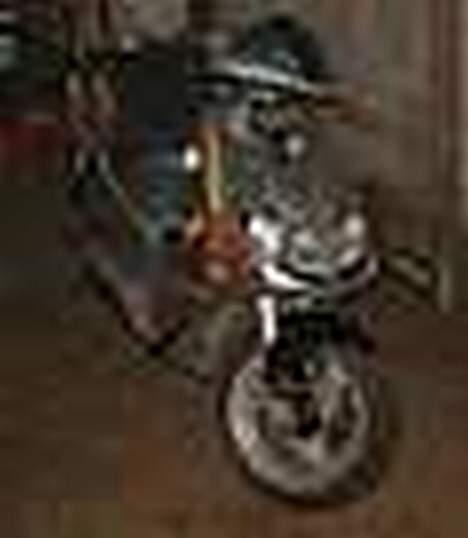 Derbi                  Predator billede 2