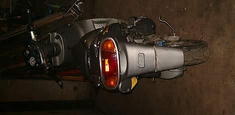 Derbi                  Predator billede 3