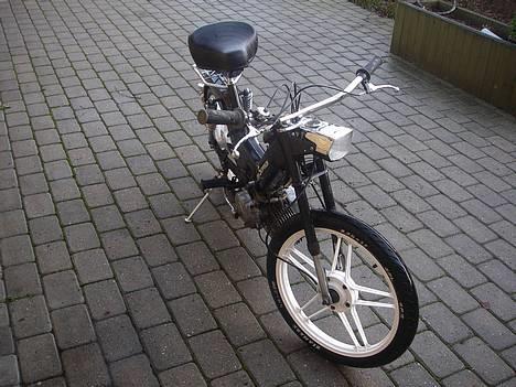 Puch maxi kl   ¤ Bling Bling ¤ - Ny vasket d. 20/12 2005   Hun er godt nok fin min lille skat billede 12