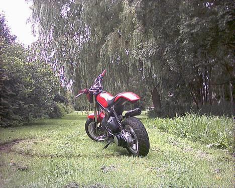 Suzuki Street magic*Solgt :(* - Hmm kedede mig natten til tirsdag d. 2/8 - 05 :D NICE billede 3