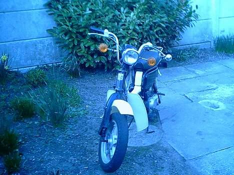 Suzuki fz50 Solgt billede 2