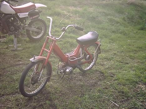 Puch maxi K  : Team 8660 billede 3