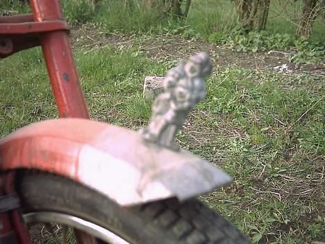 Puch maxi K  : Team 8660 - fed kølerfigur billede 4