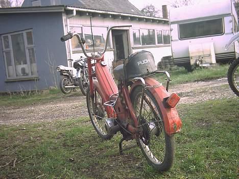 Puch maxi K  : Team 8660 billede 5