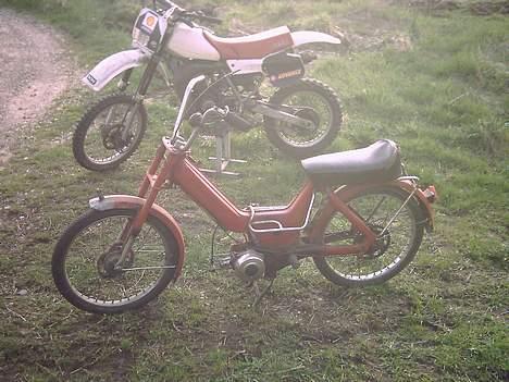 Puch maxi K  : Team 8660 billede 7