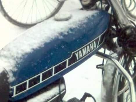 Yamaha 4 Gear ( team øl mave) billede 12