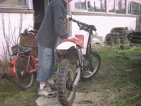 Yamaha yz 80  LC billede 7