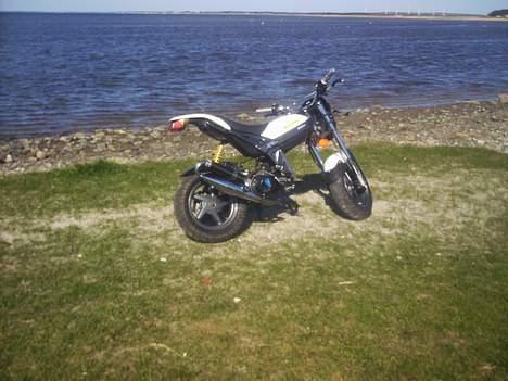 Suzuki street magic billede 8