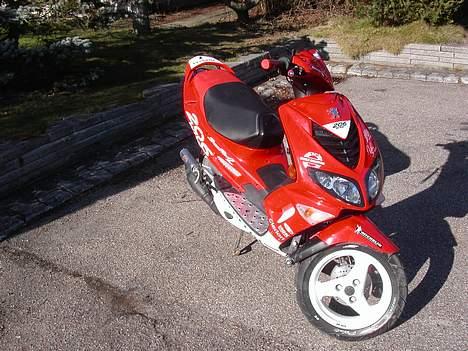 Peugeot speedfight 206 wrc billede 13