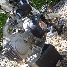 Pitpro  Pro Mod