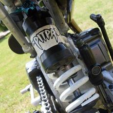 Pitpro  Pro Mod