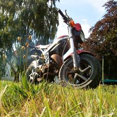 Suzuki Street Magic (Standard)