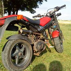 Suzuki Street Magic (Standard)