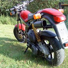 Suzuki Street Magic (Standard)