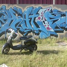 Giantco Venus smadret