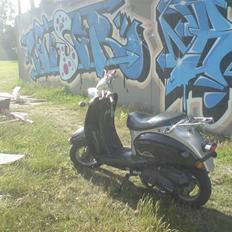 Giantco Venus smadret