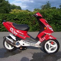 Peugeot SpeedFight 2 Totalt skade