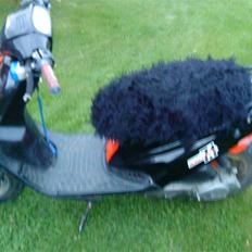 PGO Hot 50 ¤BYTTET¤