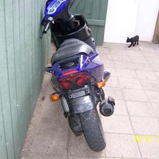 PGO Dr.Big             Solgt.