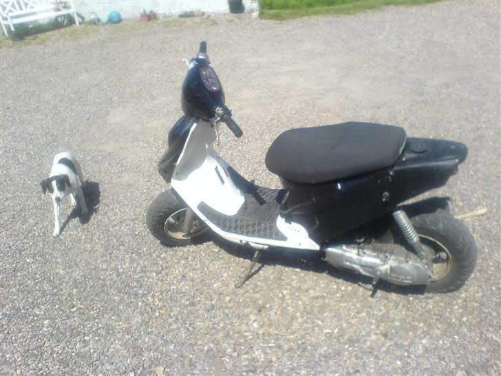 PGO Hot 50 | Solgt billede 3