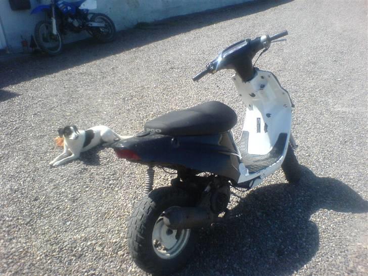 PGO Hot 50 | Solgt billede 5