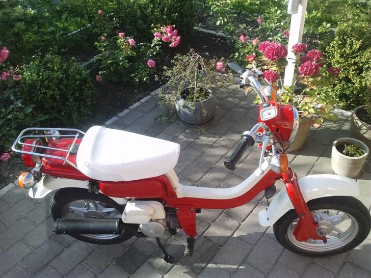 Suzuki Fz50 [ STJÅLET ] billede 14