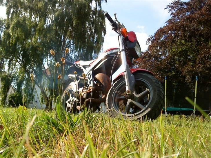 Suzuki Street Magic (Standard) billede 1