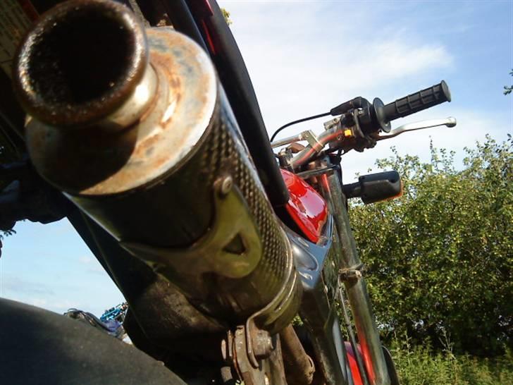 Suzuki Street Magic (Standard) billede 7