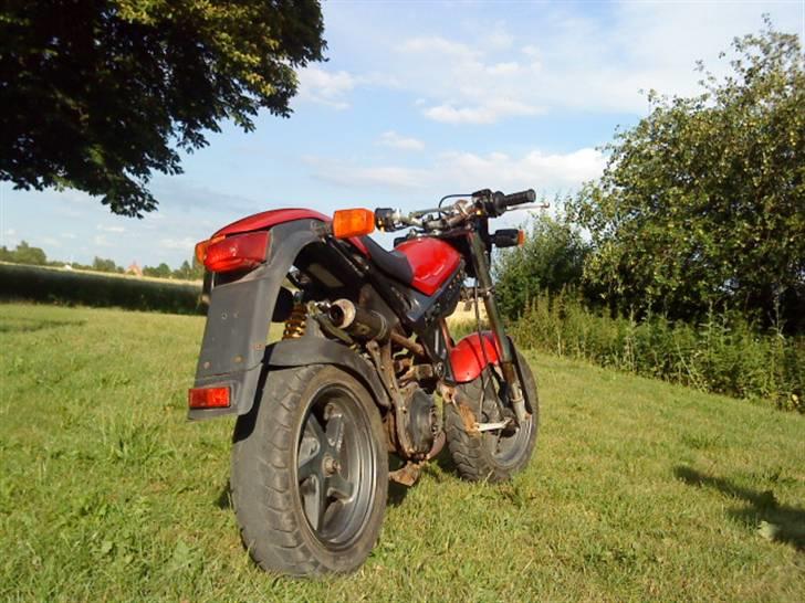 Suzuki Street Magic (Standard) billede 9