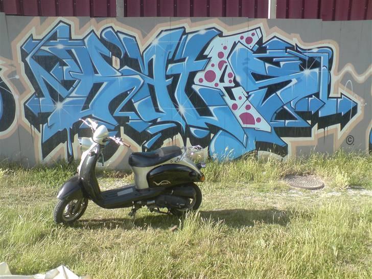 Giantco Venus smadret billede 2