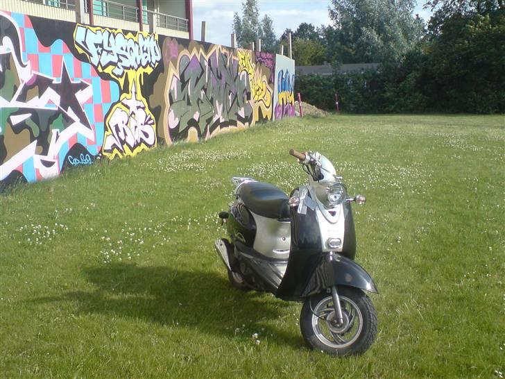 Giantco Venus smadret billede 6