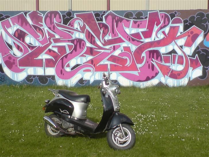 Giantco Venus smadret billede 7