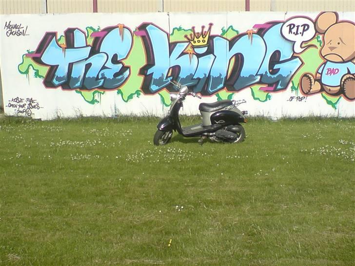 Giantco Venus smadret billede 8