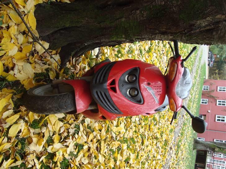 Suzuki Katana  - NYT .. - NOVEMBER  billede 10