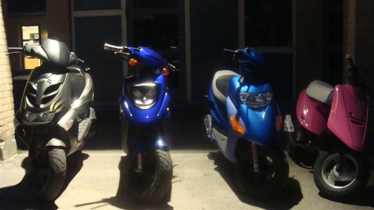 Honda SFX 50 - Færgen         bilen         knallerten      Cyklen billede 6