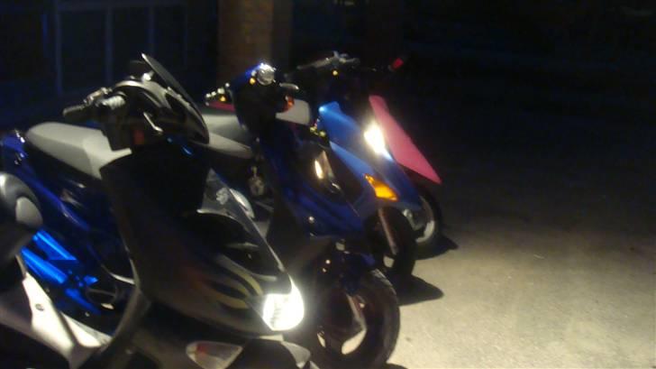 Honda SFX 50 - Færgen         bilen         knallerten      Cyklen billede 7