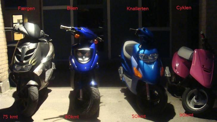 PGO Hot 50 - Færen,Bilen,Knallerten,Cyklen billede 8