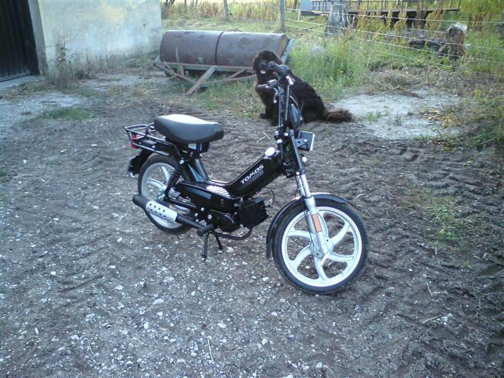 Tomos standard billede 4